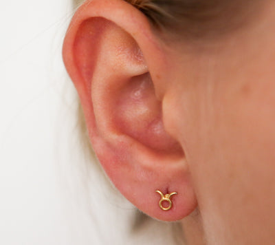 Taurus Zodiac Studs